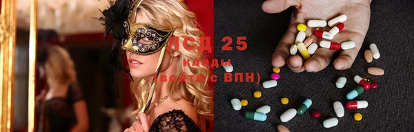 индика Алзамай