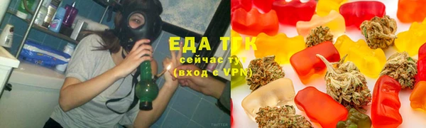индика Алзамай