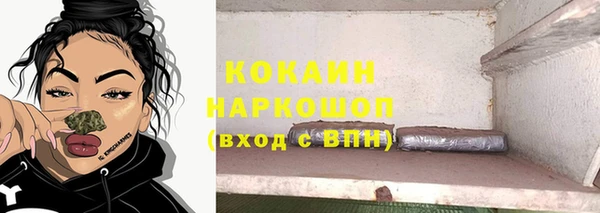 индика Алзамай