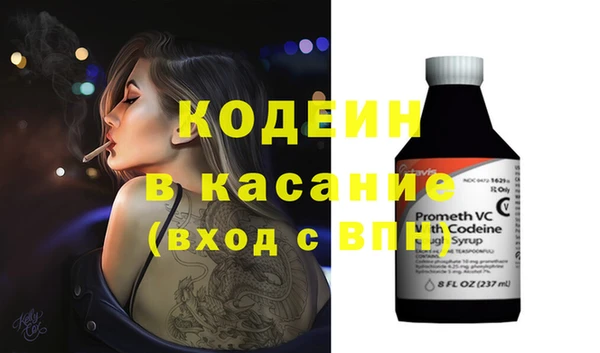 индика Алзамай
