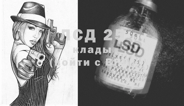 индика Алзамай