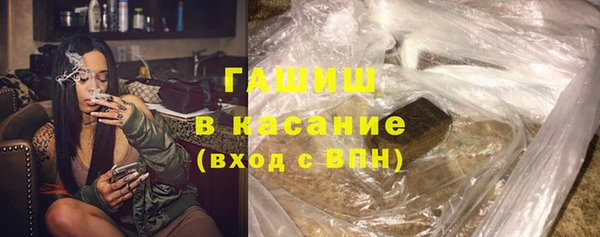 индика Алзамай